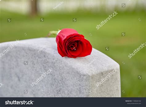 Blank Headstone Cemetery Rose On Top: Stockfoto (Jetzt bearbeiten) 1190026102