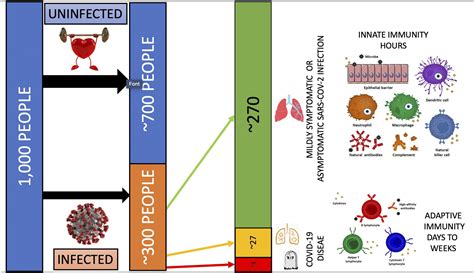 Old vaccines for new infections: Exploiting innate immunity to control COVID-19 and prevent ...