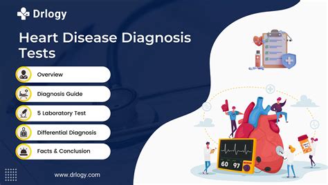 5 Best Heart Disease Diagnosis Test For Your Heart - Drlogy