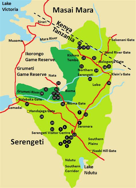 The Ultimate Serengeti National Park Safari Guide