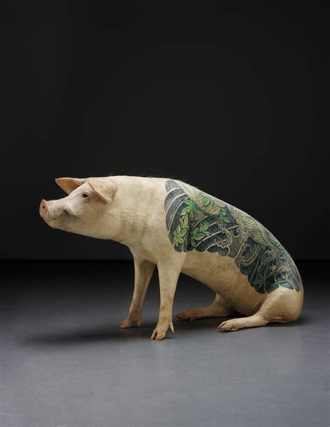 Wim Delvoye is tattooing pigs. Is this cruel?