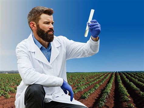 The Importance of Testing Soil Quality | Microlit