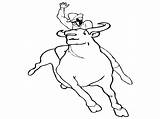 Bull Printable Coloring Pages  Home sketch template