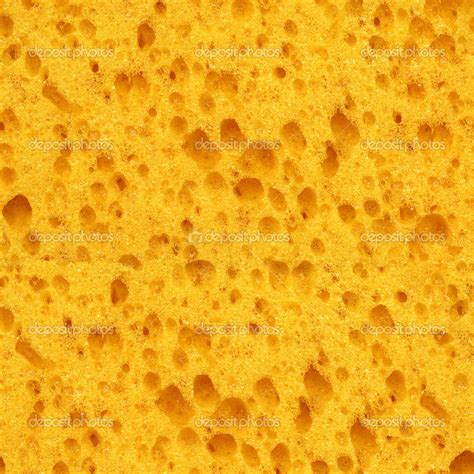 Seamless yellow sponge texture background. — Stock Photo © Leonardi #37695355