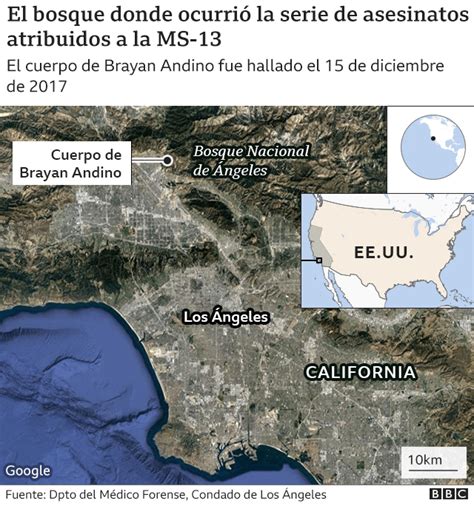 Investigación: por qué la Mara Salvatrucha, aunque se llame igual, no es la misma en El Salvador ...