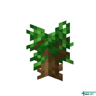 Dark Oak Sapling | How to craft dark oak sapling in Minecraft | Minecraft Wiki