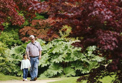 National Grandparents Day Quotes 2015: 17 Inspirational Sayings About Love And Family | IBTimes