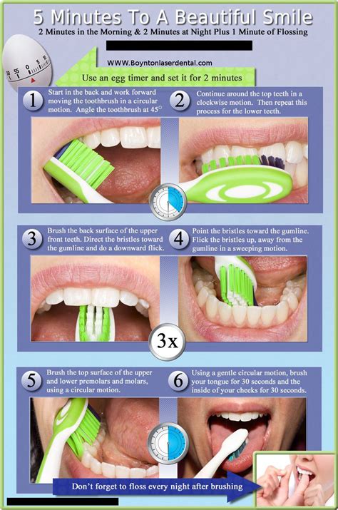 Modified bass brushing technique | Brushing teeth, Healthy teeth, Cavities