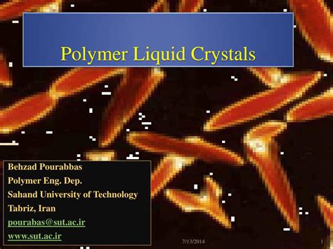 PPT - Polymer Liquid Crystals PowerPoint Presentation, free download ...