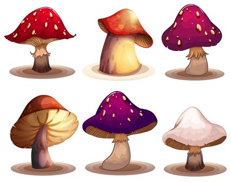 A Set of colourful mushroom 359476 Vector Art at Vecteezy