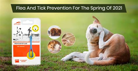 Flea And Tick Prevention For The Spring Of 2021 - BudgetVetCare.com