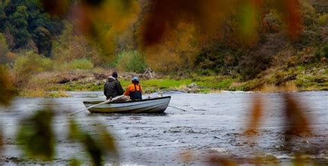 TweedBeats - Supporting salmon fishing on the Tweed, Scotland & England