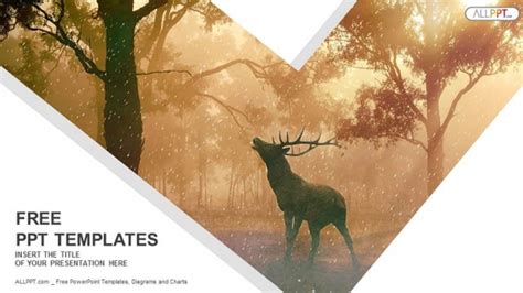 Wild forest landscape of a red deer in the mist PowerPoint Templates ...