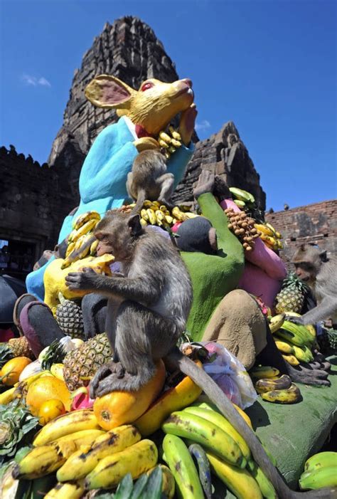 One-Of-A-Kind Scenes From Thailand's Monkey Buffet Festival