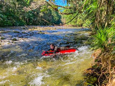 Review: Mossman River Drift Snorkelling from Port Douglas