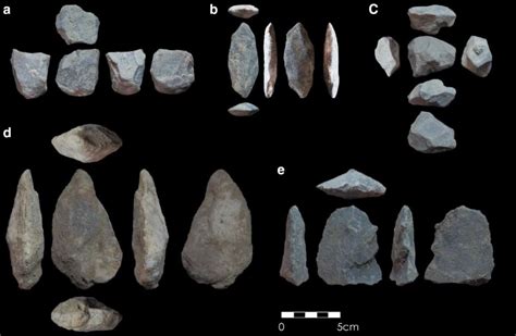 Pre Homo sapien stone tools in India l South Asia l Acheulian culture