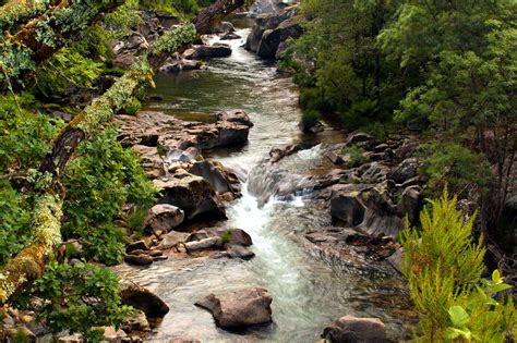 Free picture: water, stream, river, waterfall, nature, wood, landscape