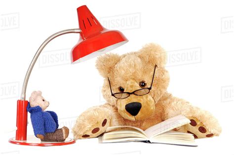 Teddy bear reading book - Stock Photo - Dissolve