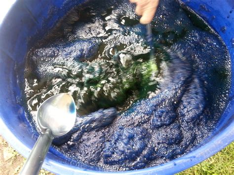 Hints & Tips for Natural Dyers: How to Minimize Indigo Crocking - Botanical Colors | Eco dyeing ...