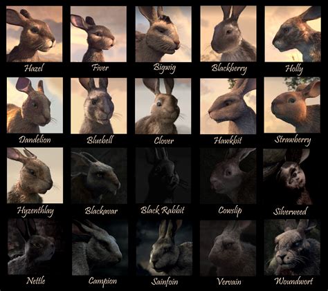 Watership Down Netflix Characters : r/watershipdown