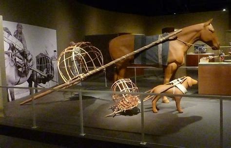 Image result for horse travois image | Native american history, National museum, Indian museum