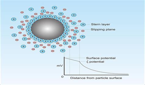 Zeta Potential - A Guide