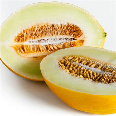 Facts and Information About Canary Melons - E. Armata Inc.