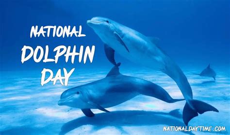 National Dolphin Day 2023: When & How to Celebrate? - Nationaldaytime.com