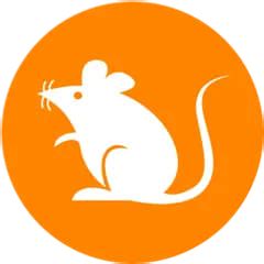 Rats Price | RATS Price Today, Live Chart, USD converter, Market ...