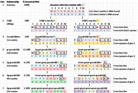 Concepts – How Your Autosomal DNA Identifies Your Ancestors | Dna ...