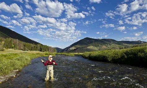 Gallatin River Montana Fly Fishing, Camping, Boating - AllTrips