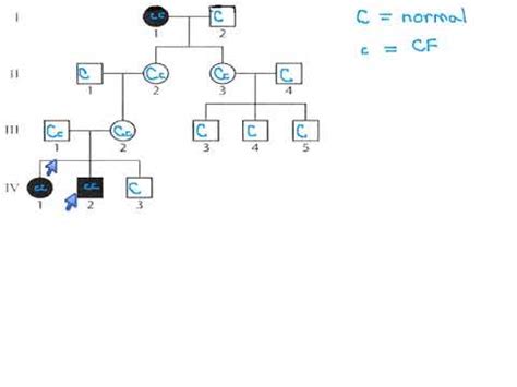 71 - Pedigree - Cystic Fibrosis (p53) - YouTube