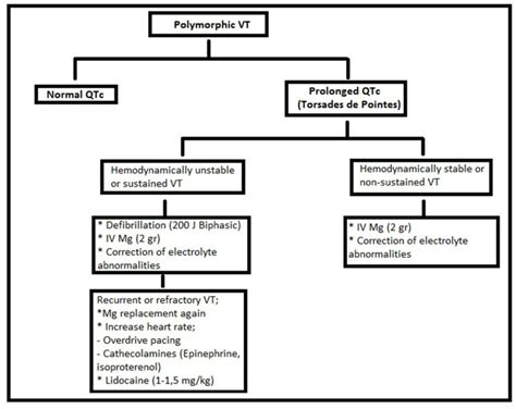 Approach to polymorphic VT during COVID-19 | Download Scientific Diagram