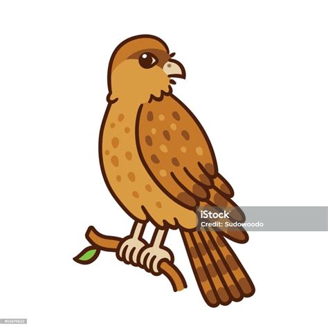 Chimango Bird Cartoon Stock Illustration - Download Image Now - Falcon ...