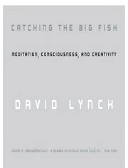 Catching the Big Fish: Meditation, Consciousness, and Creativity ...