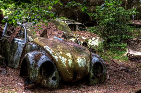 Forest Full of Abandoned Cars Photos | Image #91 - ABC News