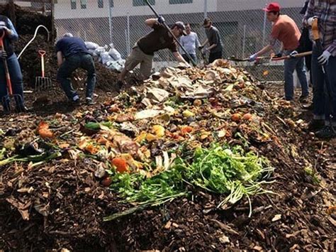 Composting Technology of Vegetable Waste. Organic Fertilizer Machinery.