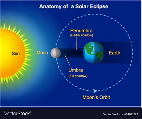 Solar eclipse diagram Royalty Free Vector Image