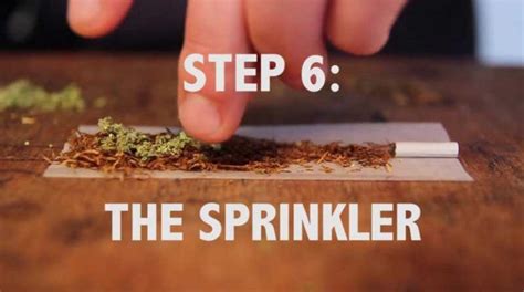 HOW TO ROLL A SPLIFF - Spliffseeds