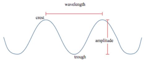 Transverse Wave Labelled Diagram