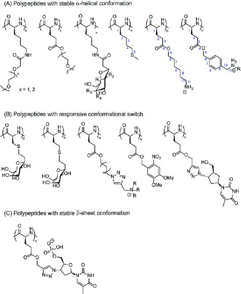 Examples of polypeptides that undergo secondary structuring. | Download Scientific Diagram