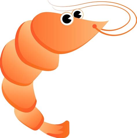 Premium Vector | Cute prawn vector illustration