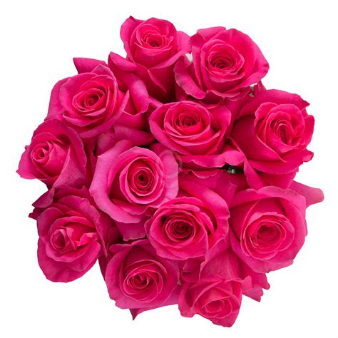 Flores para regalo Rosa Fucsia 12,10x38x85 - Vive las Flores