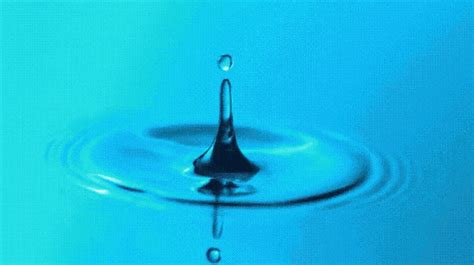 Water Drop Slow Motion GIF | GIFDB.com