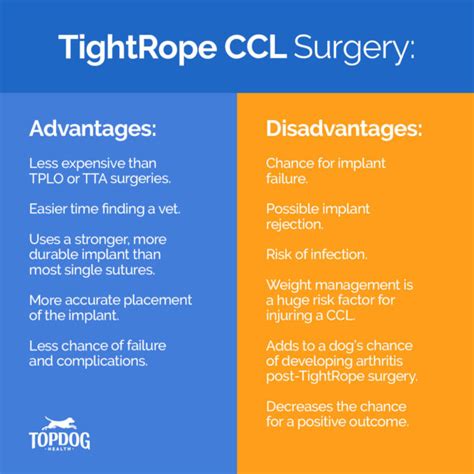 TightRope Surgery for Dogs | TopDog Health