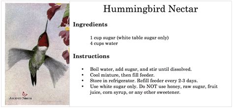 06/05/2020 Make Your Own Hummingbird Nectar