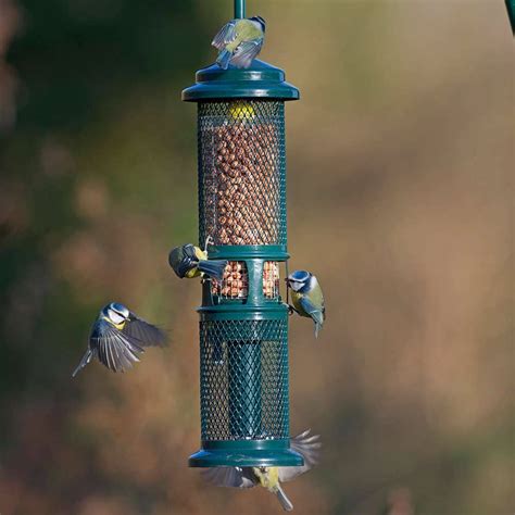 10 Best Peanut Bird Feeders For Canada In 2024 - Canadians Best