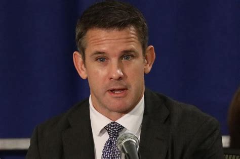 This Isn’t Rep. Kinzinger’s America Anymore - WSJ