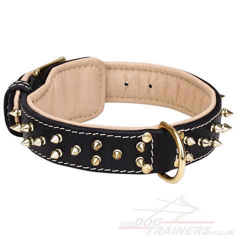 NEW Spiked Dog Collar for Large Dogs, Nappa Padded Spiked Dog Collar | Soft Padded Leather Dog ...