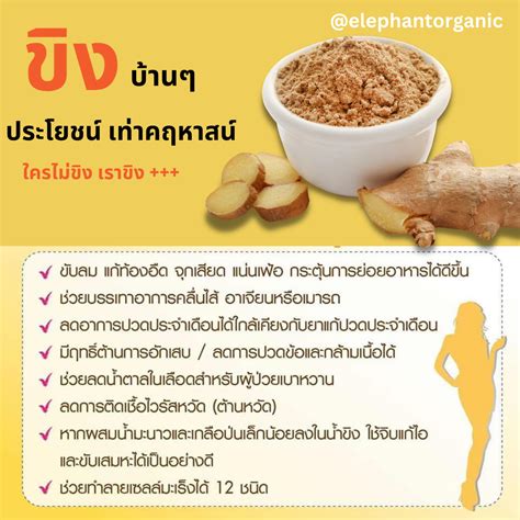 ขิงผง จากขิงแก่ คุณภาพเยี่ยม ไม่แป้ง ไม่น้ำตาล 100g Ginger Power | LINE SHOPPING